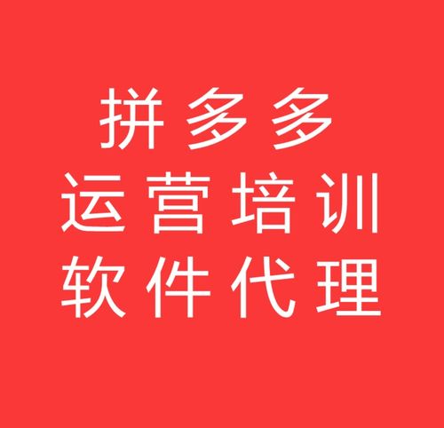 拼多多無貨源電商新機遇 山東大象拼上拼軟件加盟全攻略
